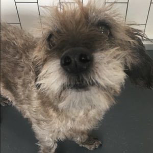 Meet your Posher, Judith